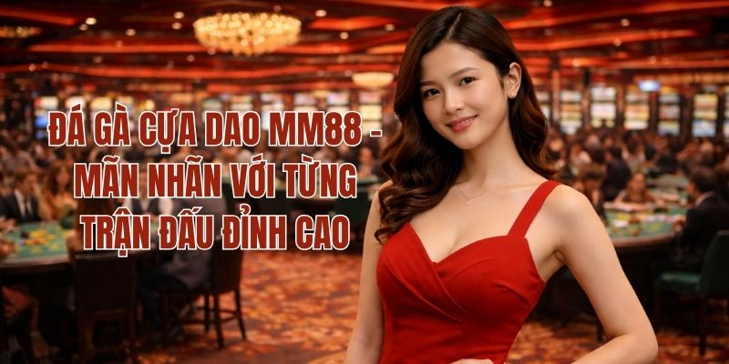 Đá Gà Cựa Dao MM88 - Mãn Nhãn Với Từng Trận Đấu Đỉnh Cao 1 Đá Gà Cựa Dao MM88 - Mãn Nhãn Với Từng Trận Đấu Đỉnh Cao